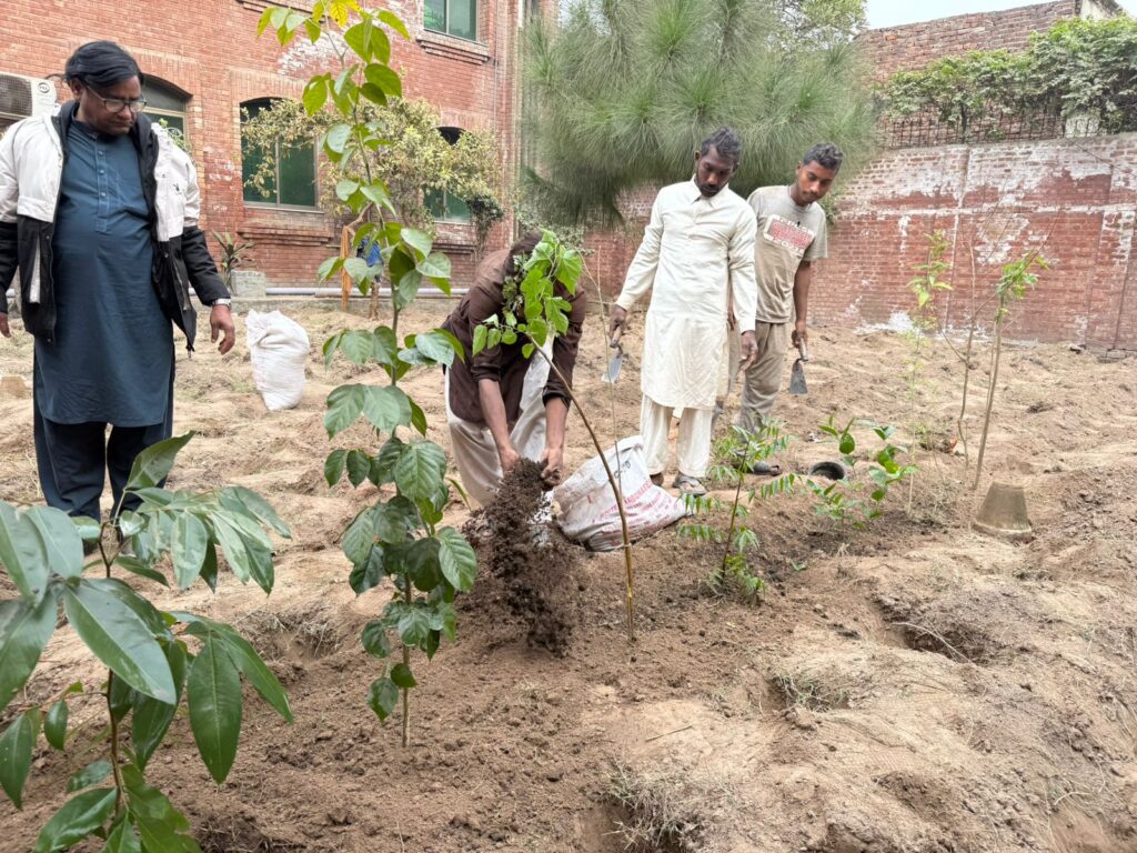 c0b082a0-8fd6-49ce-bc3b-a3b8e6627c2c-1024x768