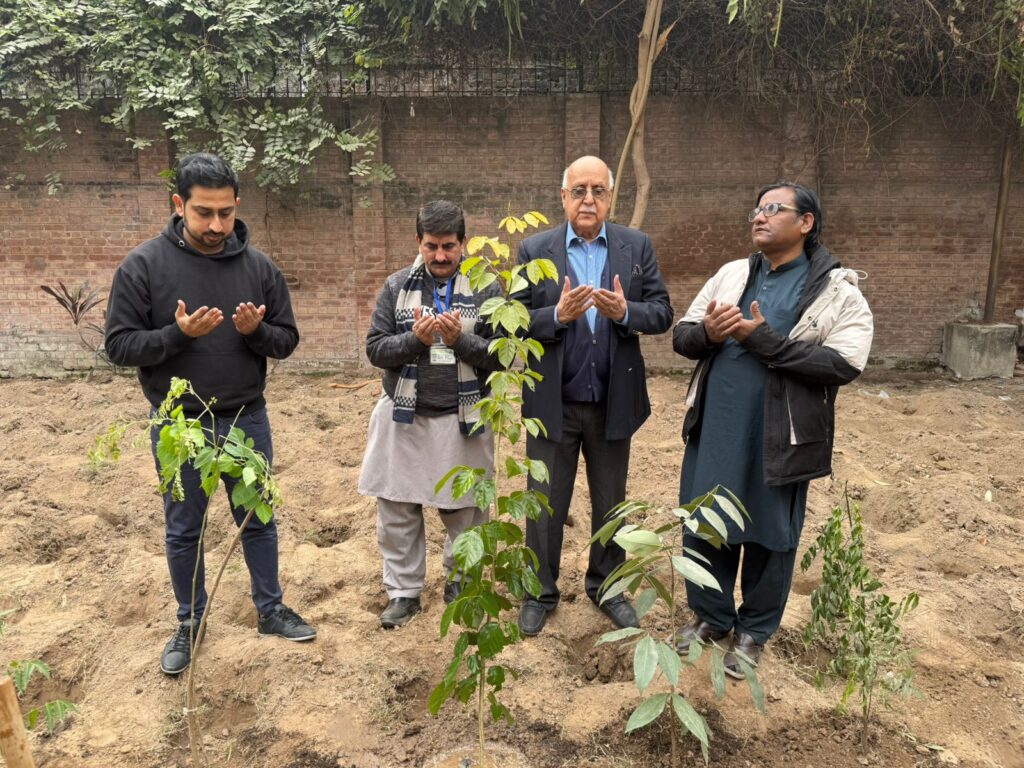 c35f8775-bb29-45d6-8c35-0e52d8202c26-1024x768