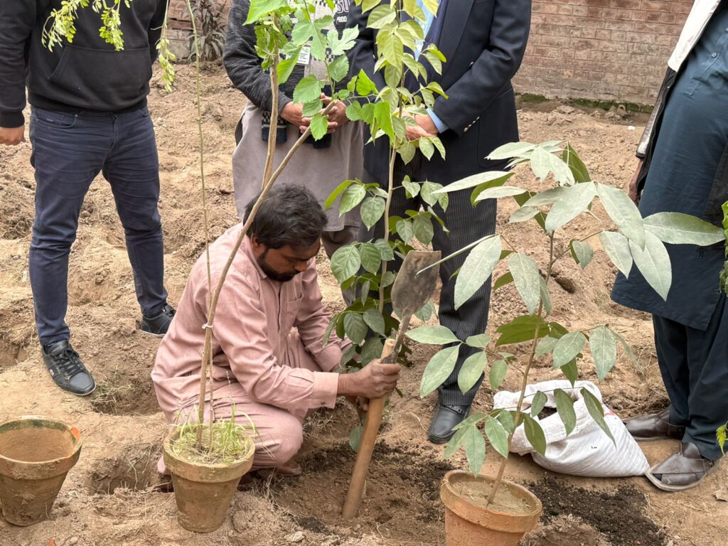 c7469325-e2ec-4011-9057-599e02b26904-1-1024x768