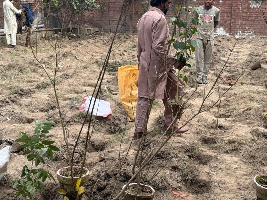 cc1db739-b15b-4b93-9876-fbd6defbcad3-1024x768