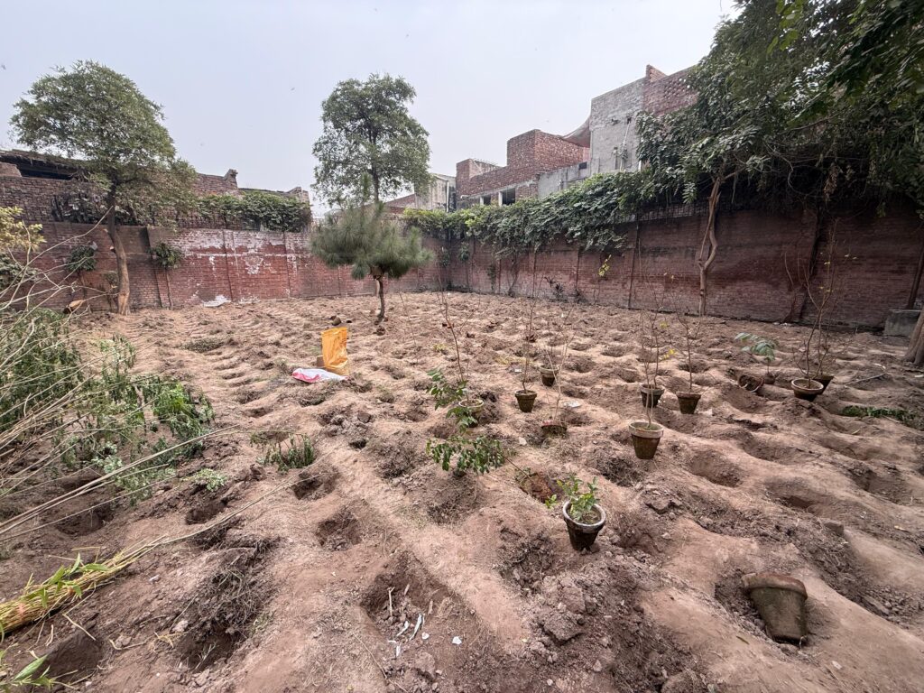 ce25933c-7e1b-4029-96f1-80b0386d5cc1-1-1024x768