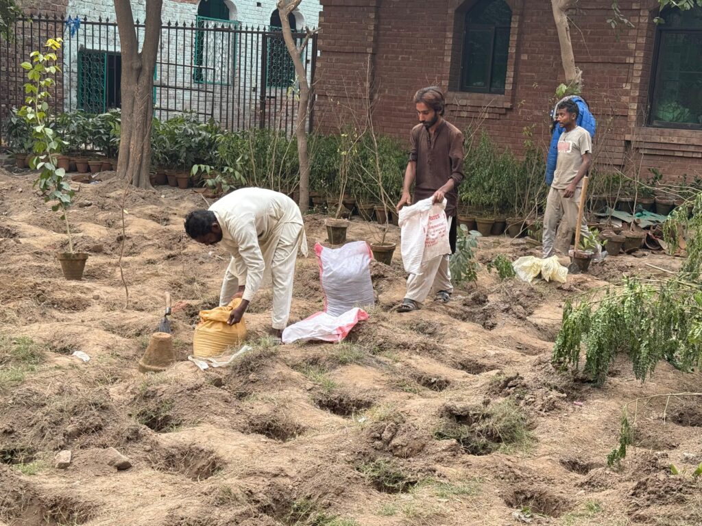 d705200c-7ba2-4024-8472-60bfa71507bb-1024x768